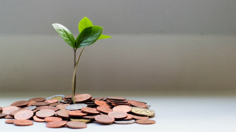 How to Monetize Your Social Media Following in 2026