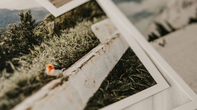 Printed photographs spread across a table